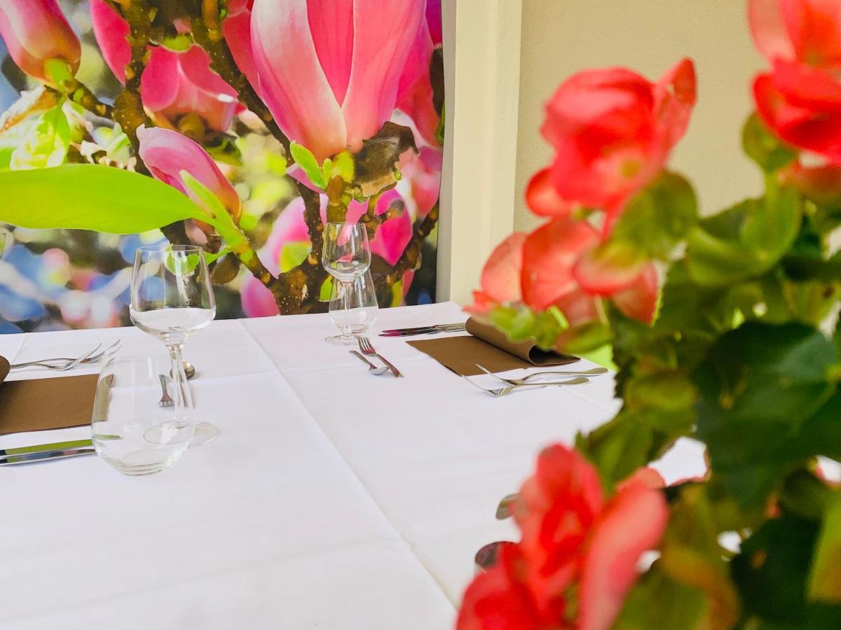 Zu Den Linden - Radebeul Pension Mit Restaurant ภายนอก รูปภาพ